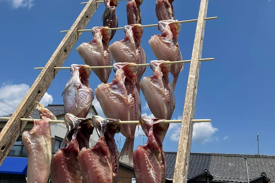 天日干し中の魚の干物
