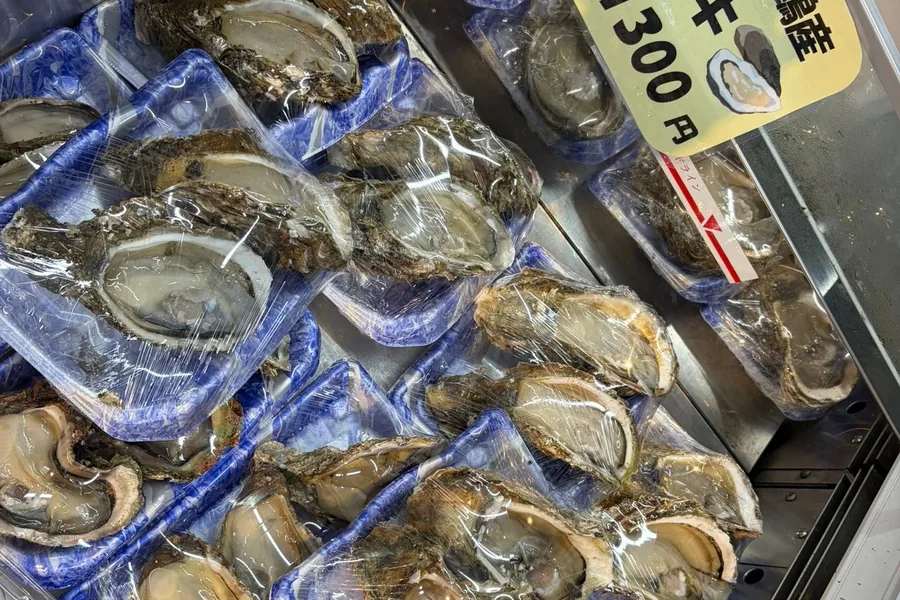 丹後の海で育成された岩がき